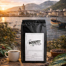 Load image into Gallery viewer, Brazil Santos
